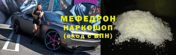 стаф Каменка