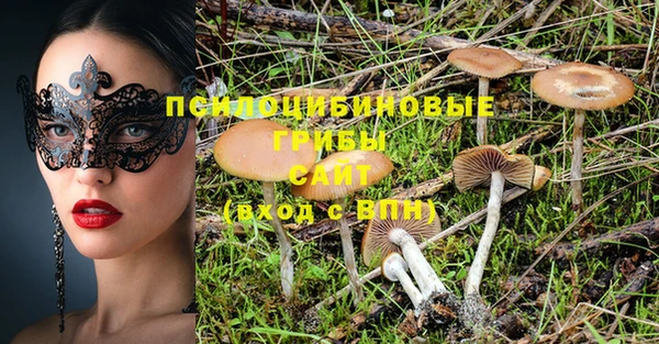 ECSTASY Каменск-Шахтинский