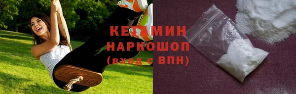 стаф Каменка