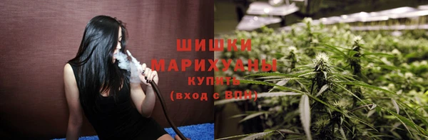 стаф Каменка