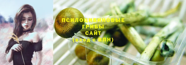ECSTASY Каменск-Шахтинский