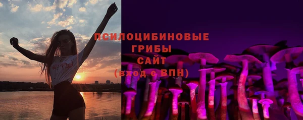 ECSTASY Каменск-Шахтинский