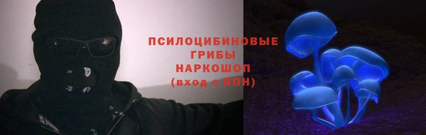 ГАЛЛЮЦИНОГЕННЫЕ ГРИБЫ Карталы