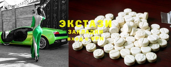 стаф Каменка