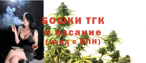 стаф Каменка