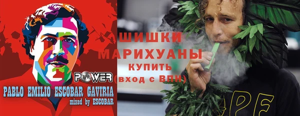 стаф Каменка